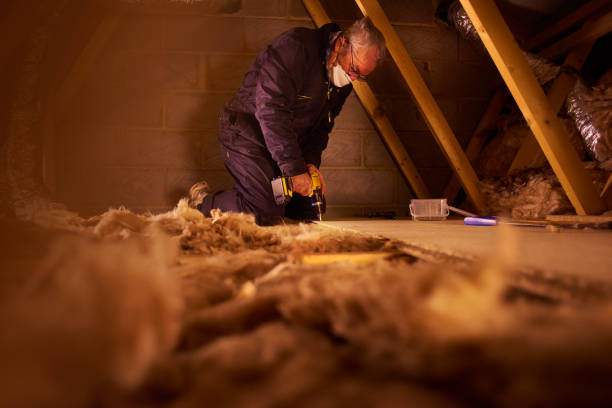 Best Insulation Contractors for Homes  in USA